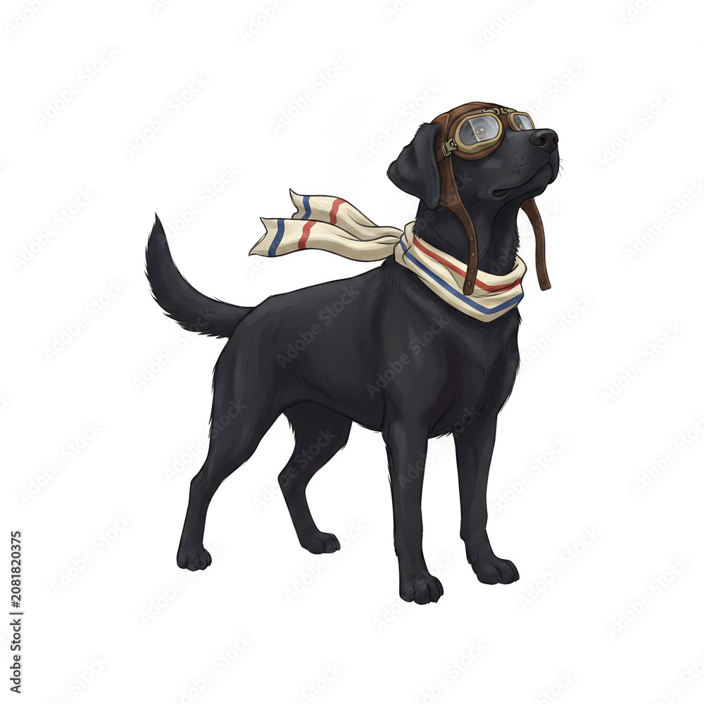 Obraz premium Black Labrador Retriever Aviator Pilot Costume Digital Illustration