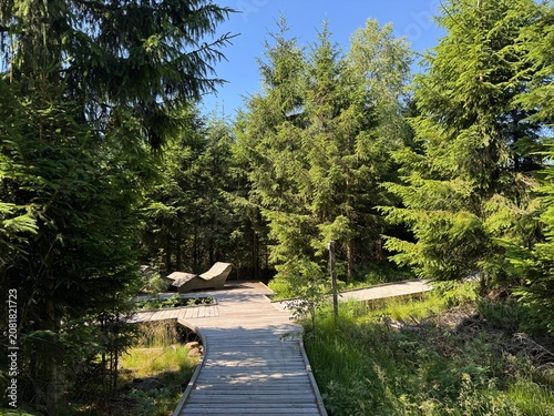Fotografía Lotharpfad adventure trail in the Black Forest National Park or Lothar education