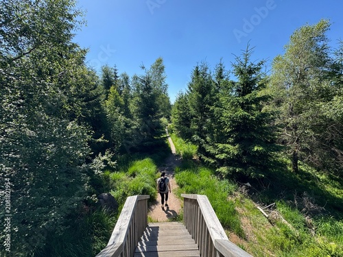 Canvas Print Lotharpfad adventure trail in the Black Forest National Park or Lothar education