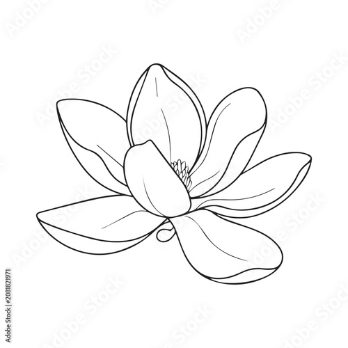 Flower Line Art, Botanical Outline, Minimal Floral Design.