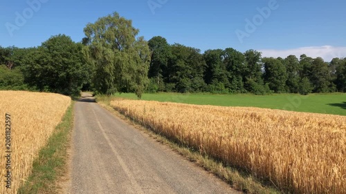 Idyllic countryside forest landscape with agricultural road path and wheat field and blue sky in Westerwald Germany Europe
