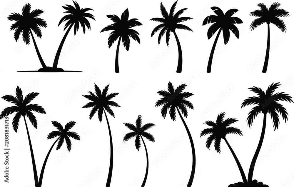 Fototapeta premium Palm tree silhouettes showcase a collection of tropical foliage in a black and white graphic style trees coconut palms leafy shapes plant
