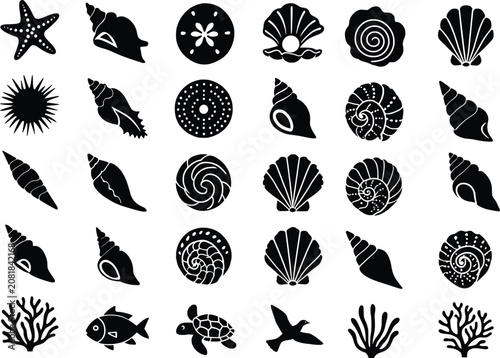 Photography Black silhouettes of various sea shells and ocean creatures on white background