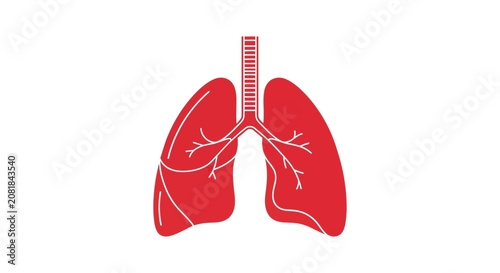 Respiratory System Illustration, Human Lung Anatomy, Medical Visualization, Scientific Artwork