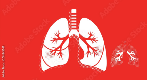 Respiratory System Illustration with Detailed Lungs Diagram on Vibrant Red Background