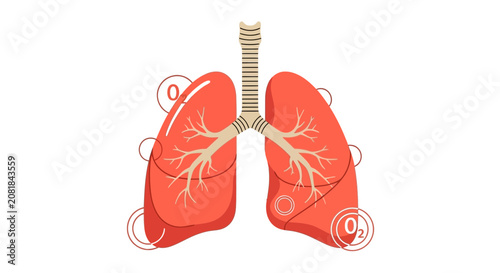 Respiratory System Illustration, Artistic Representation of Human Lungs With Oxygen Symbol