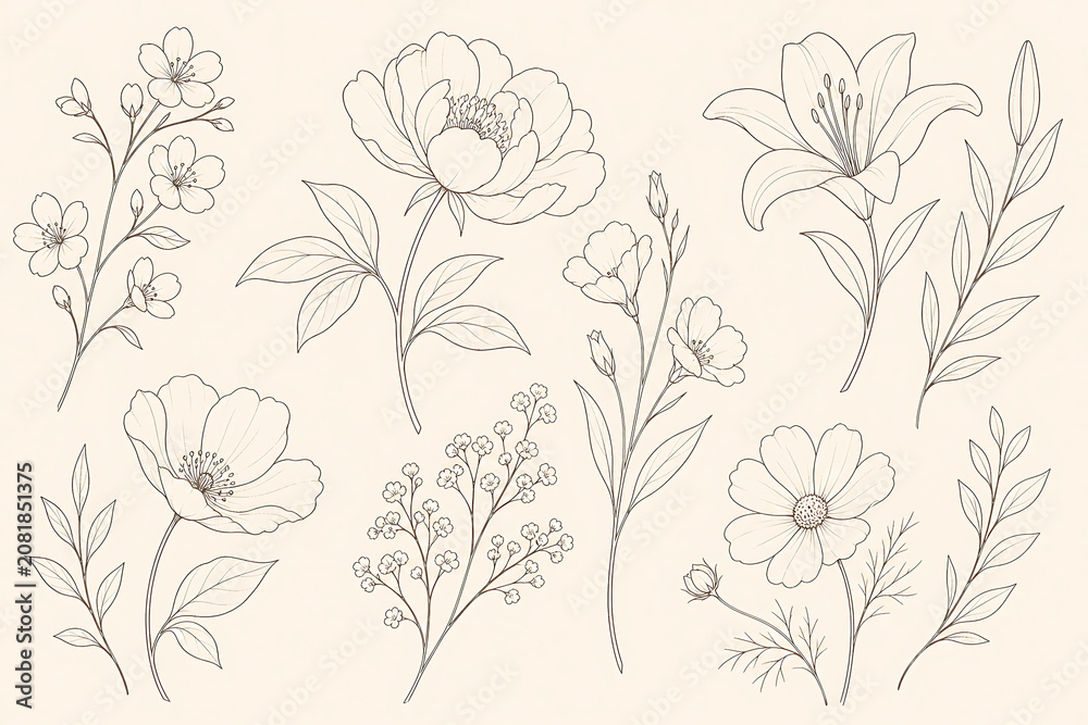 Fototapeta premium Minimalist Floral Outlines Collection Featuring Hand Drawn Botanical Sketches on Beige