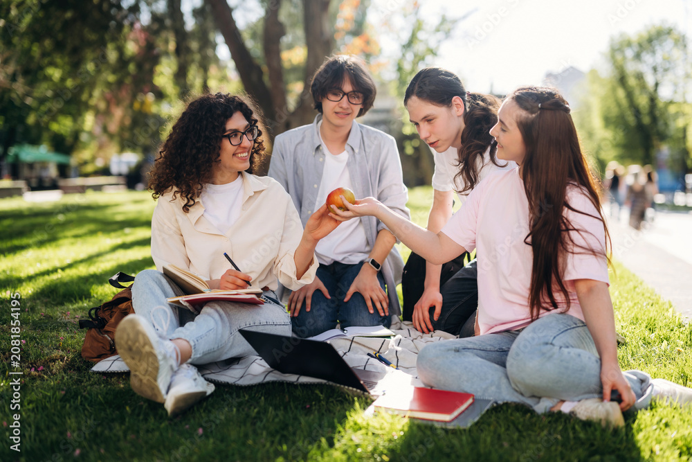 Obraz premium Group of four young adults engaged in discussion while sitting on grass in a park, with notebooks and a laptop on a blanket, enjoying a sunny day outdoors