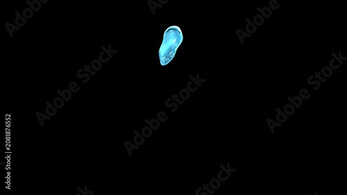 Liquid Water Bubble Apostrophe Symbol Loop on Alpha Background