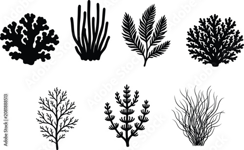 Marine Coral and Seaweed Black Silhouette Vector Set Isolated on White Background
