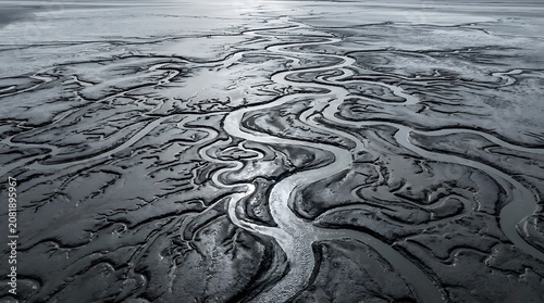 Aerial view of intricate winding river channels in a tidal marsh