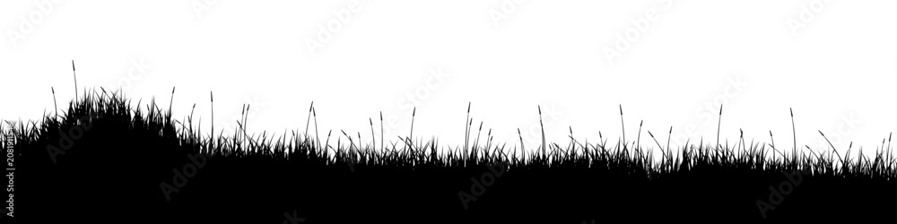 Fototapeta premium Meadow silhouette with grass, plants on plain. Panoramic summer lawn landscape with herbs, various weeds. Herbal border, frame element. Black horizontal banners. Vector illustration