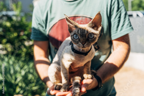 Photos devon rex cat with large eyes held in arms outdoors in natural green setting on