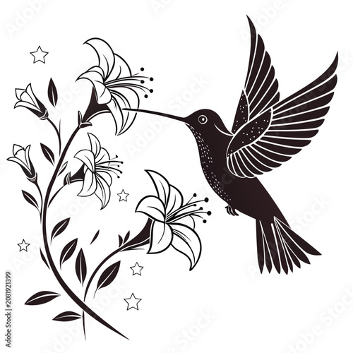 Fotografie Hummingbird hovering near blooming floral lily branch with decorative star shape