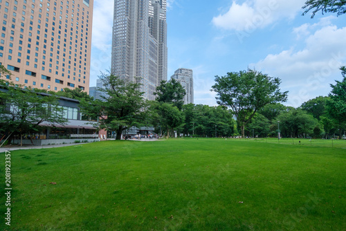 新宿中央公園の芝生広場とシュクノバ　：　東京都新宿区西新宿