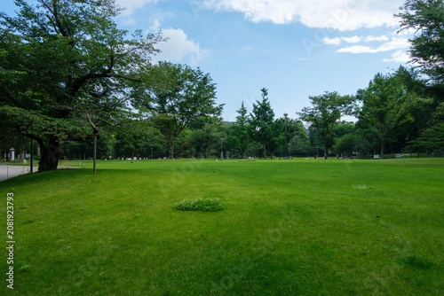 新宿中央公園シュクノバ前の芝生広場　：　東京都新宿区西新宿
