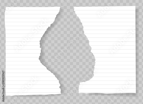 Torn paper texture background with transparent copy space for text, message, decorating creative design. PNG ripped paper