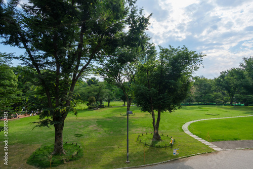 新宿中央公園 シュクノバ前の芝生広場　：　東京都新宿区西新宿