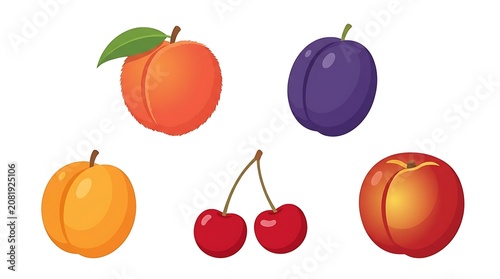 Fresh colorful fruits arranged in a circle.
