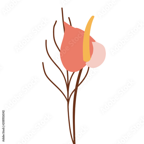 Flat illustration of a tulip flower with stem and bud