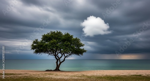Solitary Green Tree Standing Alone on a Sandy Beach Under a Dramatic Stormy Sky with Dark Clouds and a Single White Cloud Over the Calm Ocean