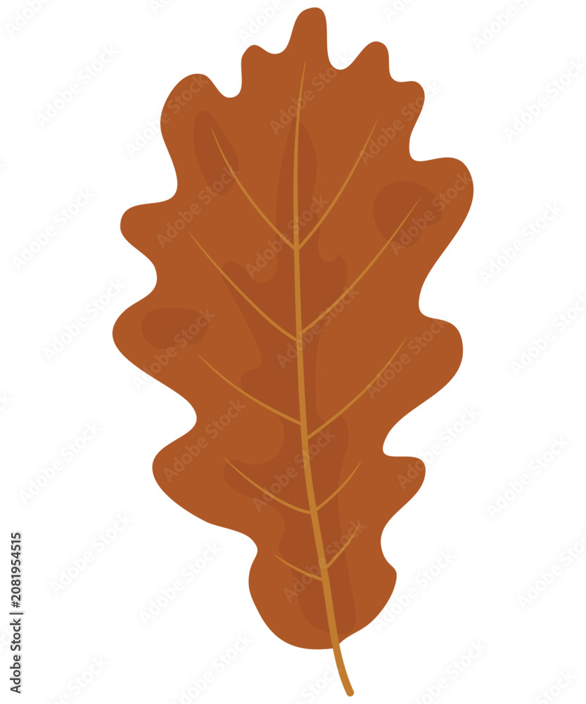 Fototapeta premium Warm brown oak leaf isolated autumn illustration in flat style