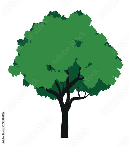 A tree drawn by hand. Green leaves on branches and curved trunk. Vector Illustration.