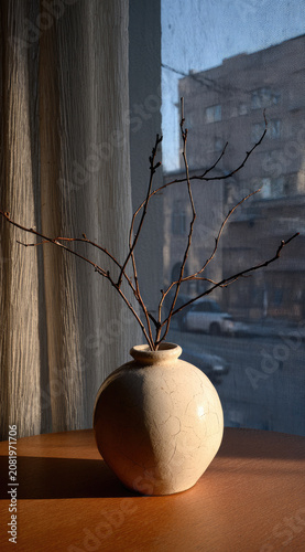 Minimalist vase with bare branches on windowsill with soft light.