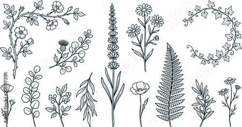 Foto Elegant Botanical Line Art Vector Set Featuring Hand Drawn Lavender Fern Chamomi