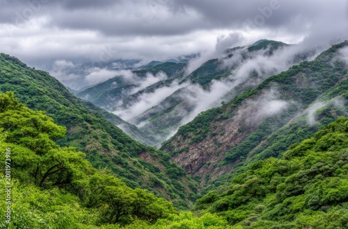 Misty Mountains Covered in Lush Green Vegetation Under a Cloudy Sky.