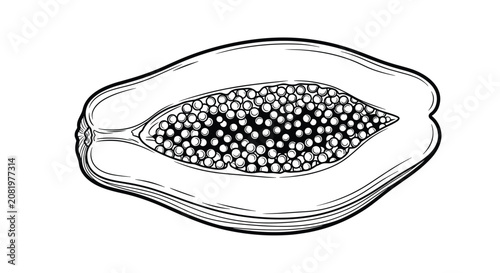 Detailed black and white line art illustration of a halved papaya, showcasing its distinctive shape and textured internal seeds, ideal for intricate graphic design or educational purposes.