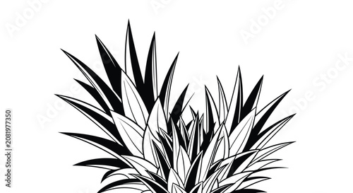 Bold black and white illustration depicting the spiky crown leaves of a pineapple, rendered with strong graphic lines and high contrast, perfect for abstract tropical motifs or design elements.