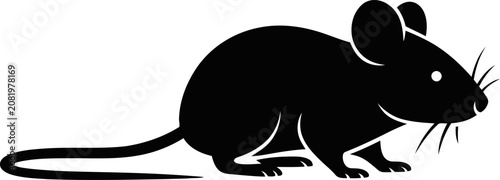 Obraz na plátne Black silhouette of a mouse standing on hind legs looking right  simple animal i