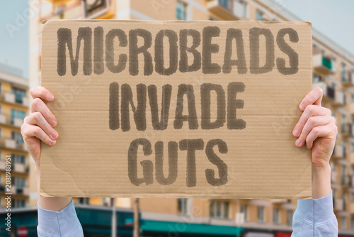 Canvas Print "Microbeads invade guts" Tiny plastic particles enter food chain