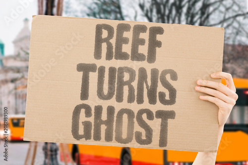 Photos "Reef turns ghost" Coral communities become lifeless white