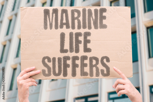Foto "Marine life suffers" Sea creatures struggle in warming waters