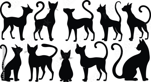 Set of black cat silhouettes in various standing and sitting poses for creative design projects