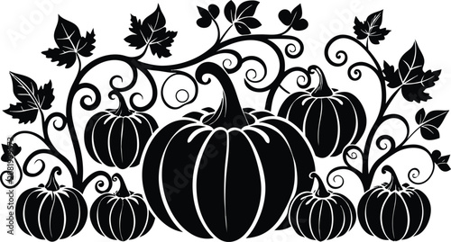 Black silhouette of pumpkins with vines and leaves for autumn harvest and thanksgiving design