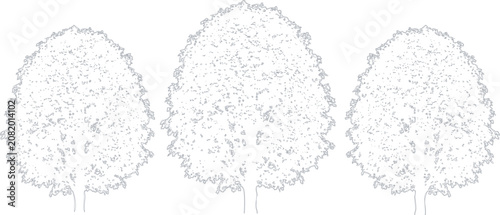 Three simple outline trees with rounded leaves for nature design and ecology concepts