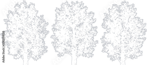 Three simple outline drawings of deciduous trees with detailed leaves and branches for design projects