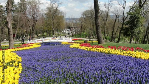 Aerial view of the Bosphorus with tulips; view of the Turkish flag; general aerial view of Istanbul