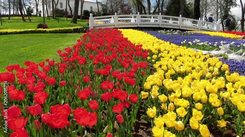 Aerial view of the Bosphorus with tulips; view of the Turkish flag; general aerial view of Istanbul
