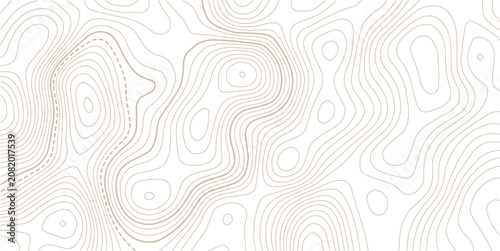 abstract wavy background. topographic contour background.paper texture Imitation of a geographical map shades.Business concept. Vector illustration.
