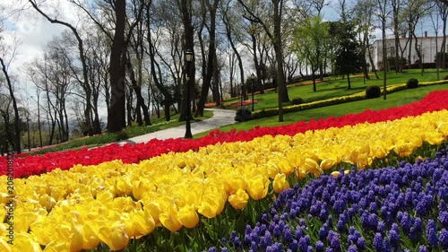 Aerial view of the Bosphorus with tulips; view of the Turkish flag; general aerial view of Istanbul