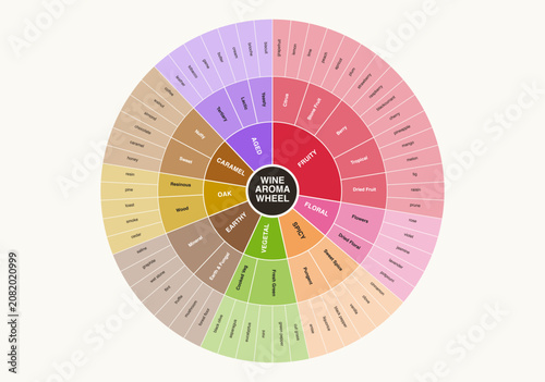 Wine aroma wheel infographic chart with flavor categories, fruity floral earthy spicy oak caramel notes, sommelier tasting guide, also used for coffee whiskey beer chocolate sensory evaluation