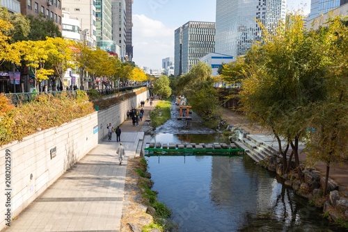 Obraz na plátne Autumn foliage lines Cheonggyecheon Stream in Seoul's bustling downtown district