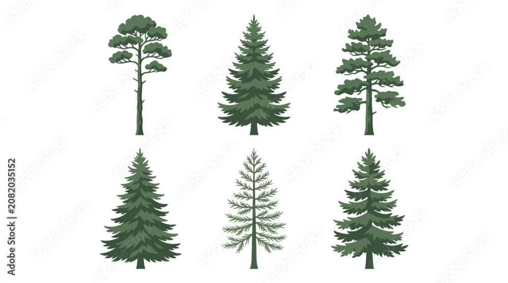 Fototapeta premium Assorted evergreen tree illustrations