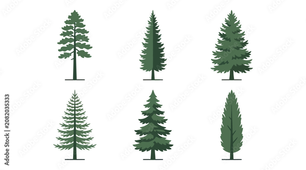 Obraz premium Assortment of evergreen tree illustrations