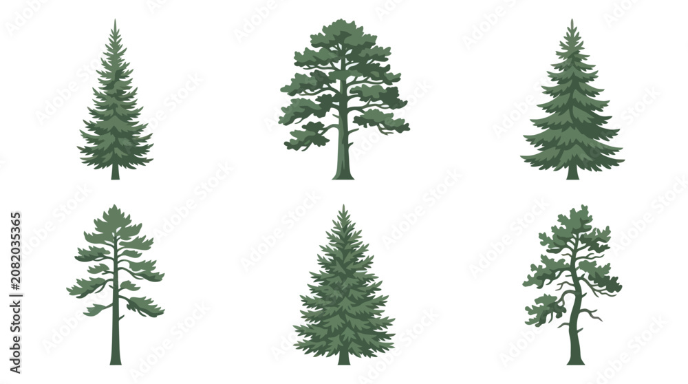 Obraz premium Assorted evergreen tree illustrations