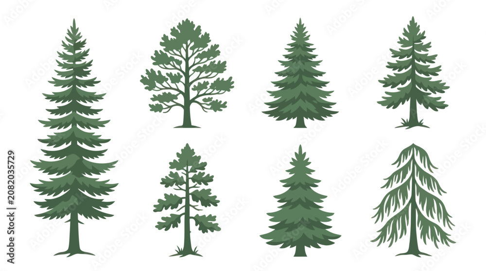 Obraz premium Assortment of evergreen trees